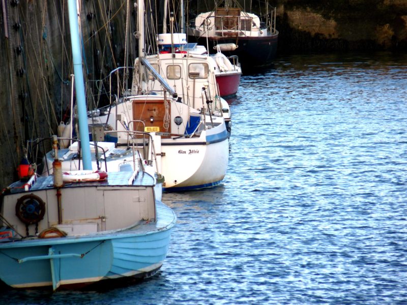 Biodiversité : j’interroge le Gouvernement sur les risques existants en matière de pêche