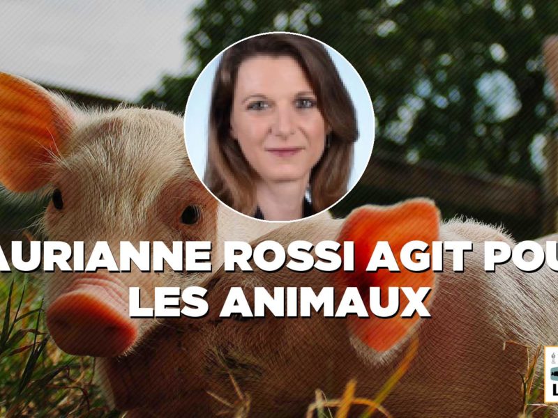 Lutte contre la maltraitance animale : notre loi est adoptée !